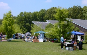 festival grounds