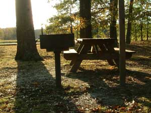 Picnic Table